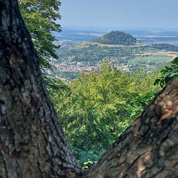 Zwischenstopp Hännersteigfels